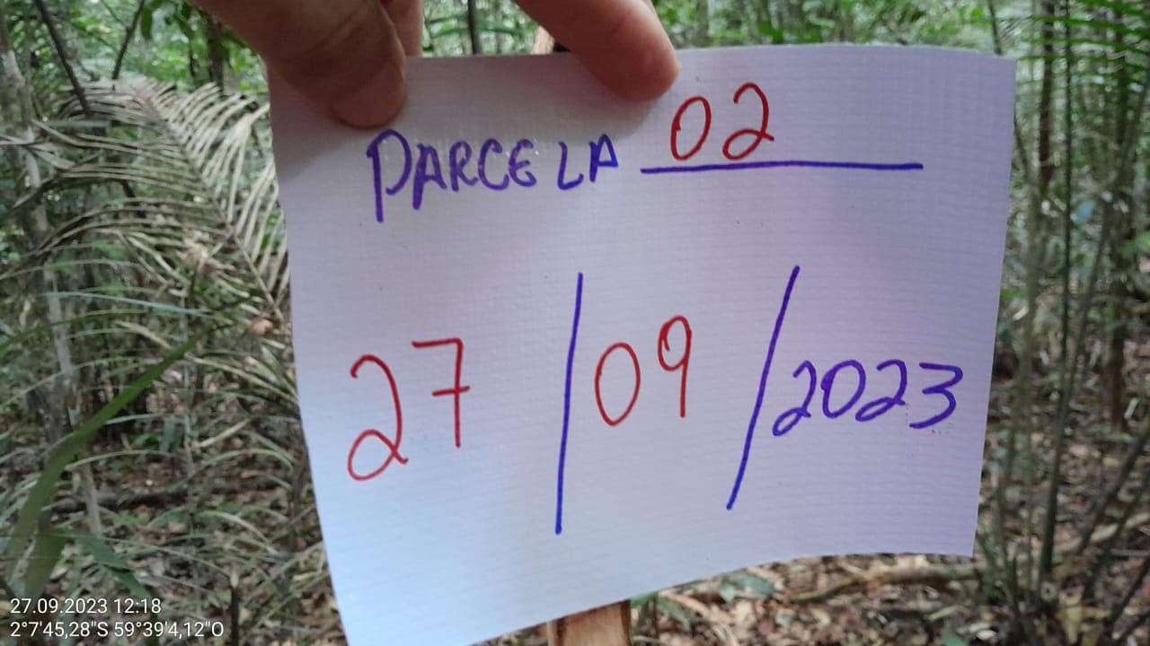 Imagem 4