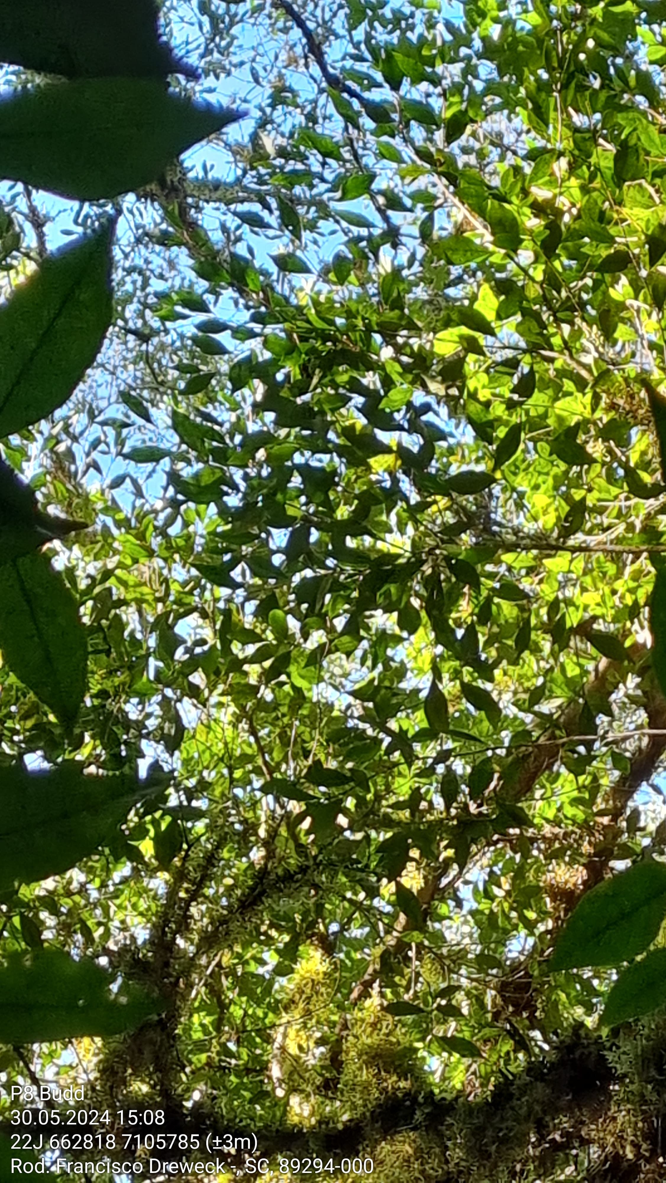 Imagem 2
