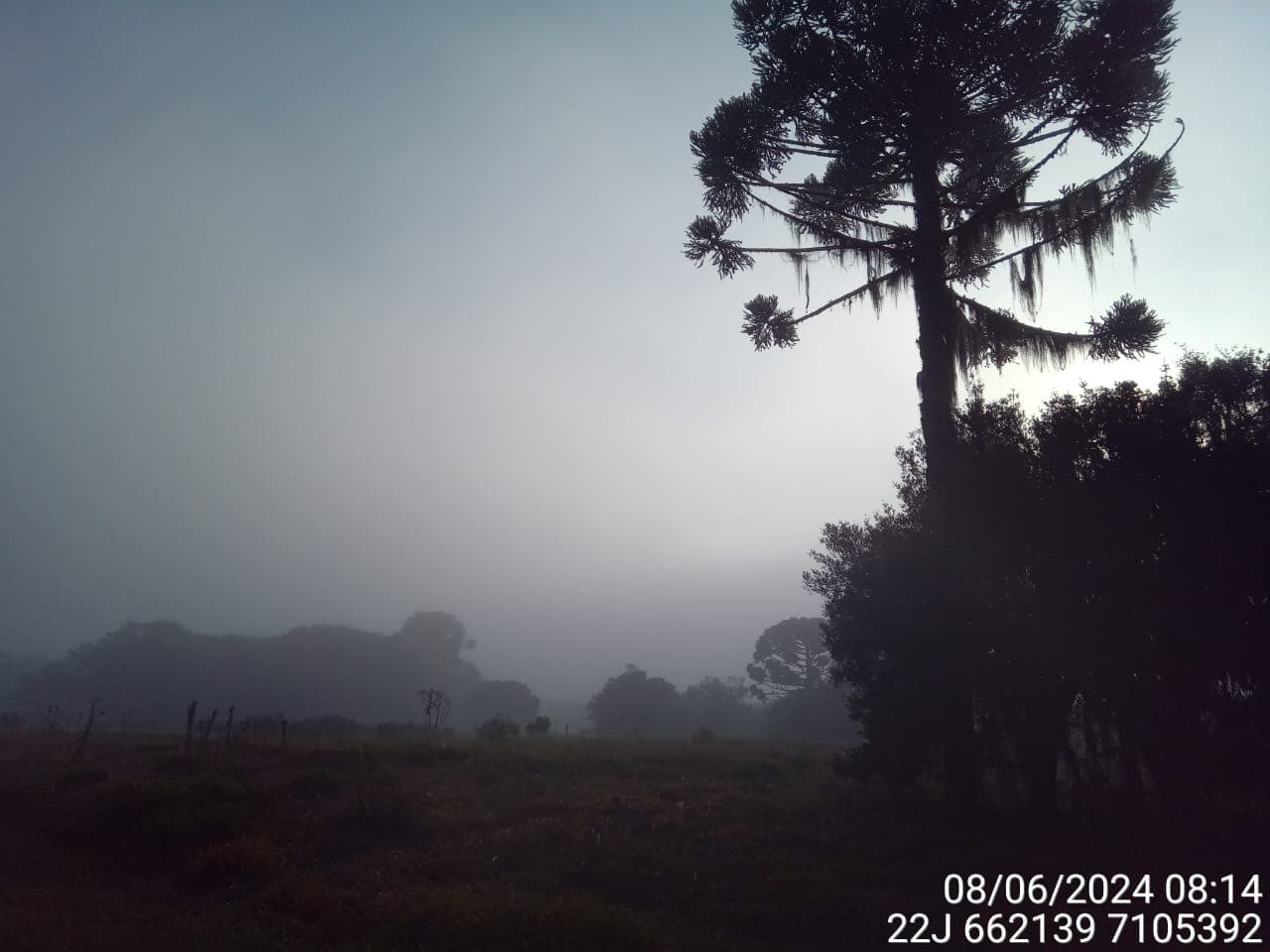 Imagem 8